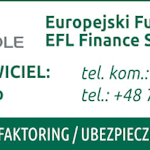 elf_new_tvklodzka