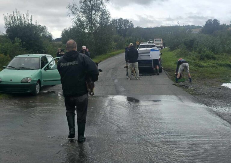 Trwa ewakuacja zwierząt ze schroniska w Kłodzku