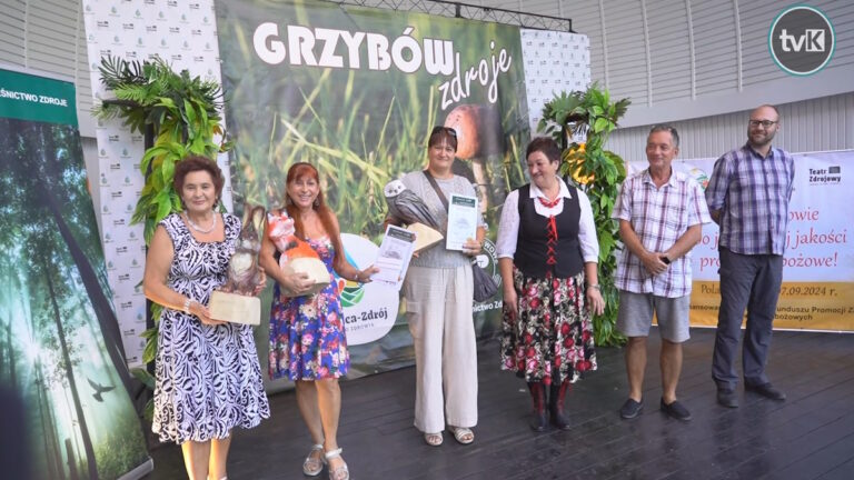 VI Grzybów-Zdroje