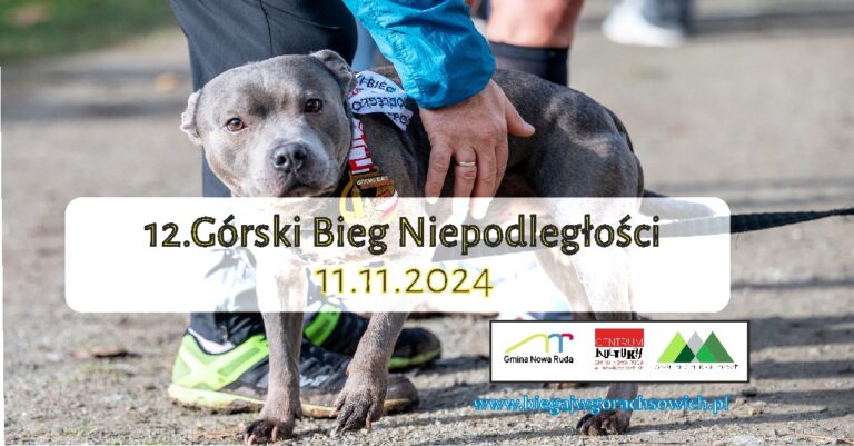 Święto niepodległości i biegania. 12. Bieg Niepodległości w Świerkach