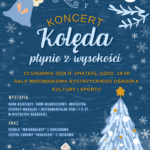 Bez tytułu (Plakat (A3, w pionie))_20241203_094603_0000 (1)