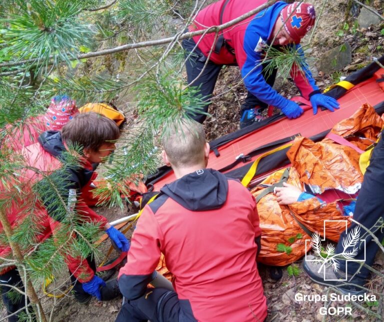 Ratownicy Sudeckiej Grupy GOPR podsumowali miniony rok