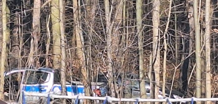 IMG_20250222_104700