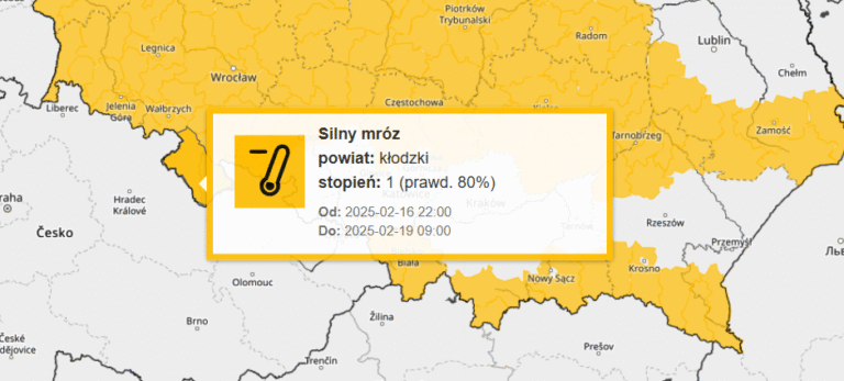 Uwaga, silny mróz! W nocy temperatura może spaść nawet do -17°C. Służby apelują o czujność