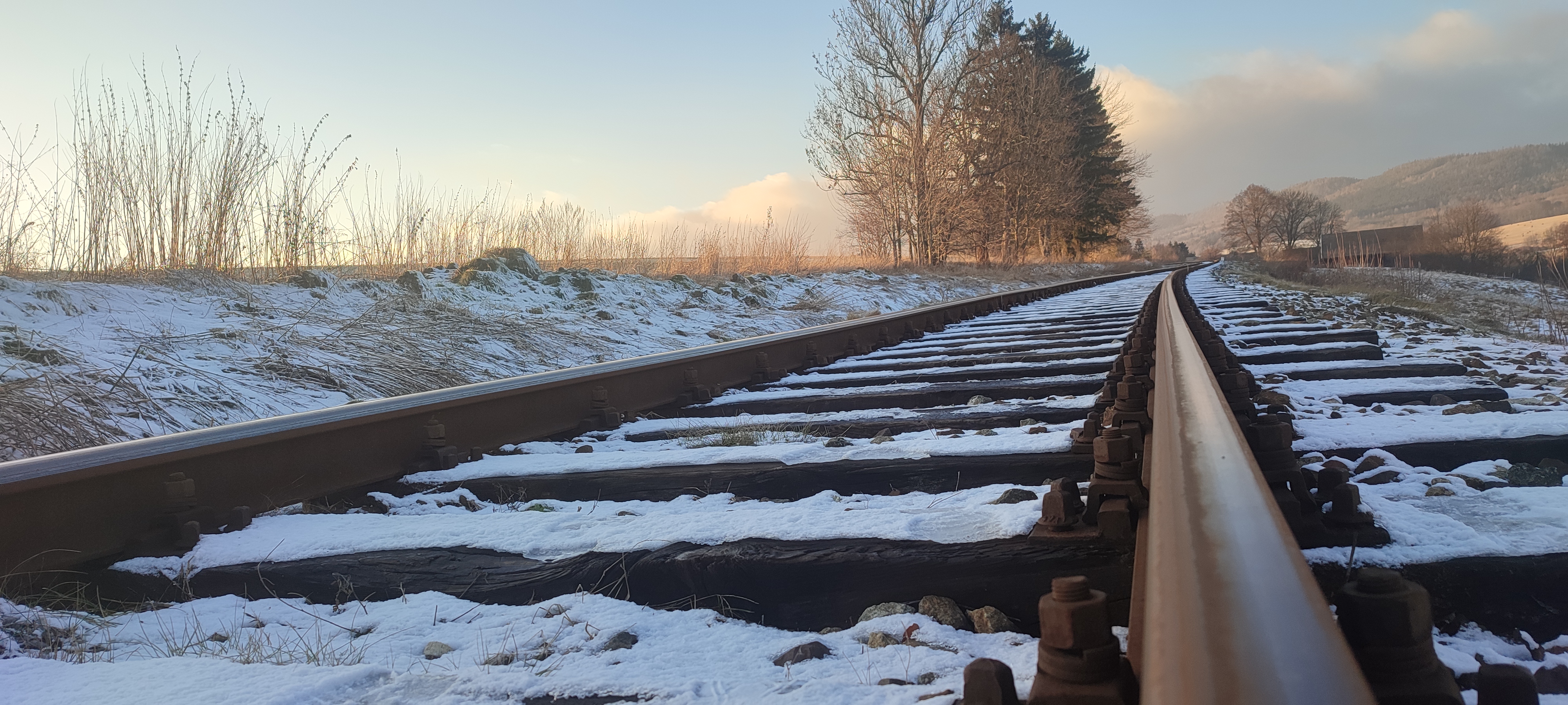 Rewitalizacja linii kolejowej nr 318 coraz bliżej. Otwarto oferty w przetargu