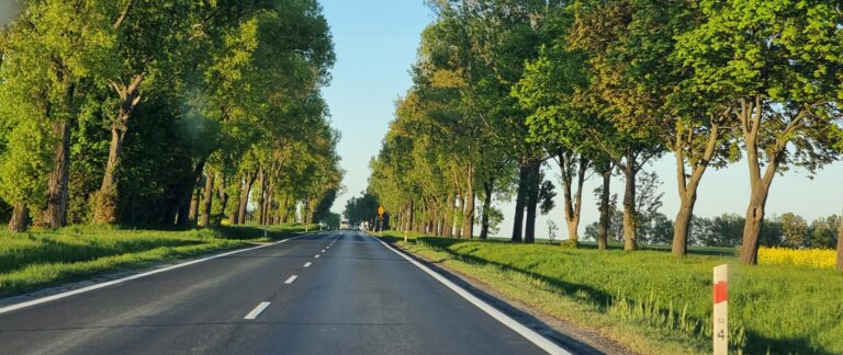 Firma Budimex S.A. wybuduje S8 na odcinku Łagiewniki Zachód – Niemcza
