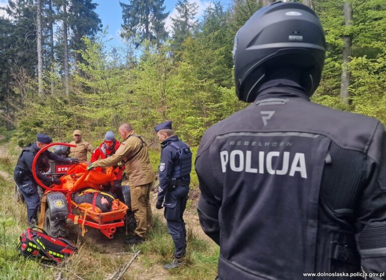 Międzynarodowe ćwiczenia w zakresie poszukiwań osób zaginionych w górach