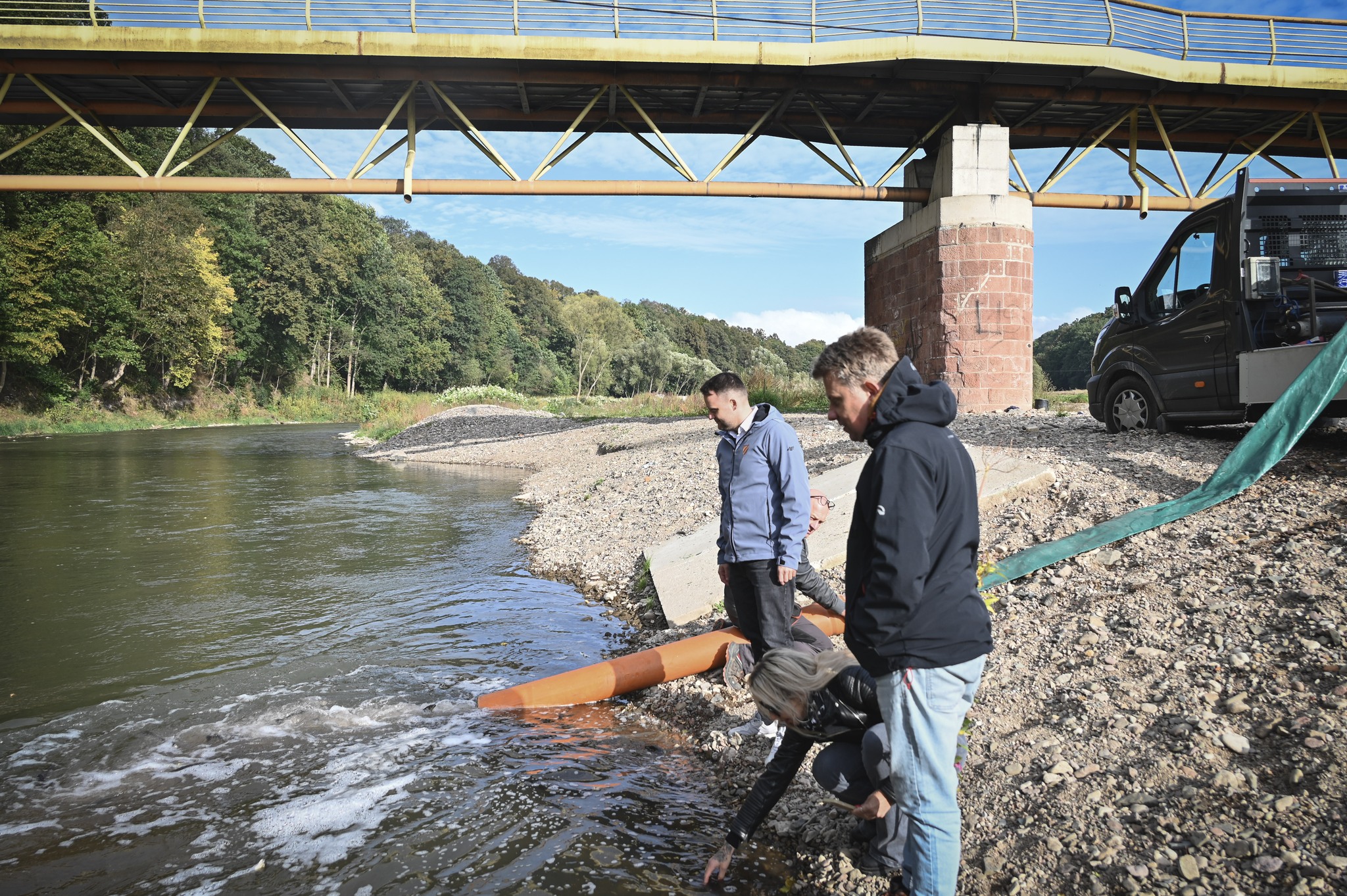 Zarybianie Nysy Kłodzkiej. Do rzeki trafiło ok. 276 kg pstrąga potokowego