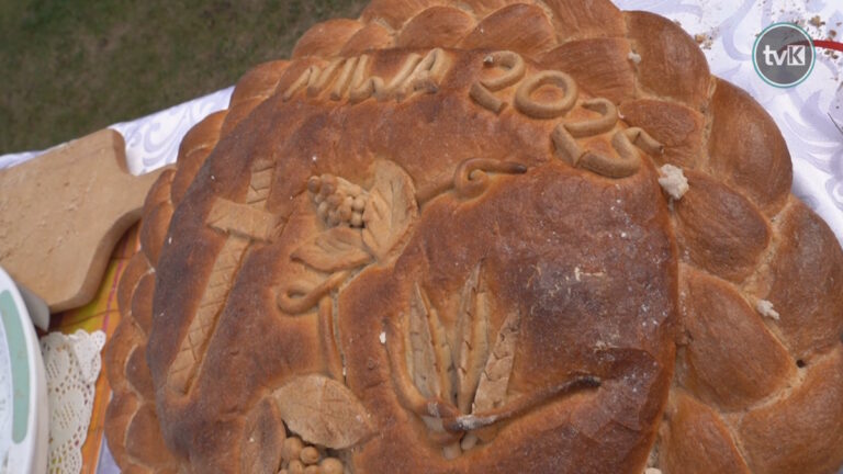 Dożynki Gminne w Niwie