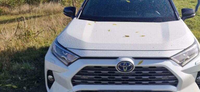 Policjanci z Kłodzka odzyskali skradzione w Czechach samochody