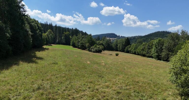 Gmina Szczytna ogłasza przetargi na sprzedaż czterech atrakcyjnych działek inwestycyjnych