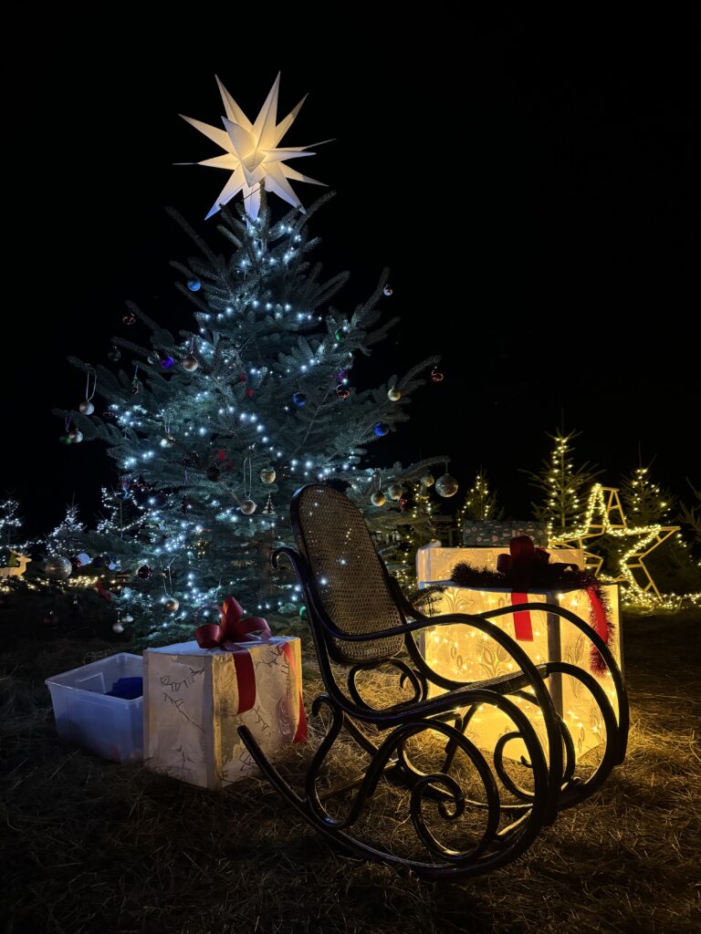 Stary Wielisław znów rozbłyśnie świątecznym blaskiem. Znamy datę otwarcia „Świątecznej Krainy”!