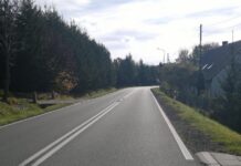 Dwie inwestycje na DK-33 w Roztokach. GDDKiA zwiększa bezpieczeństwo kierowców i pieszych