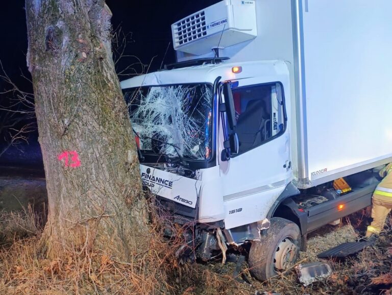 Poranny wypadek w Polanicy-Zdroju. Kierujący samochodem ciężarowym zjechał z drogi i uderzył w drzewo
