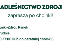 Nadleśnictwo Zdroje zaprasza po choinki!