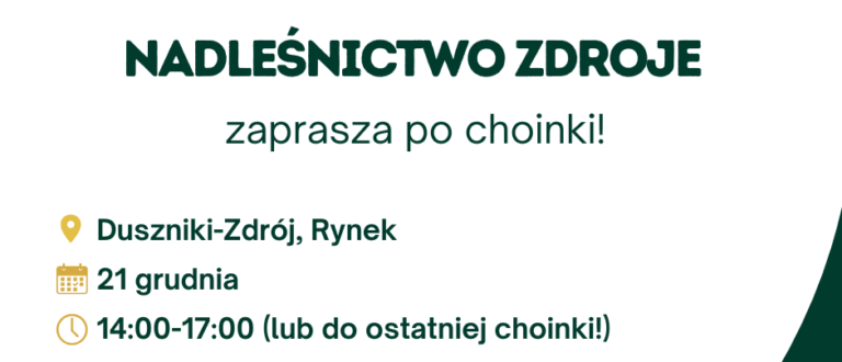 Nadleśnictwo Zdroje zaprasza po choinki!