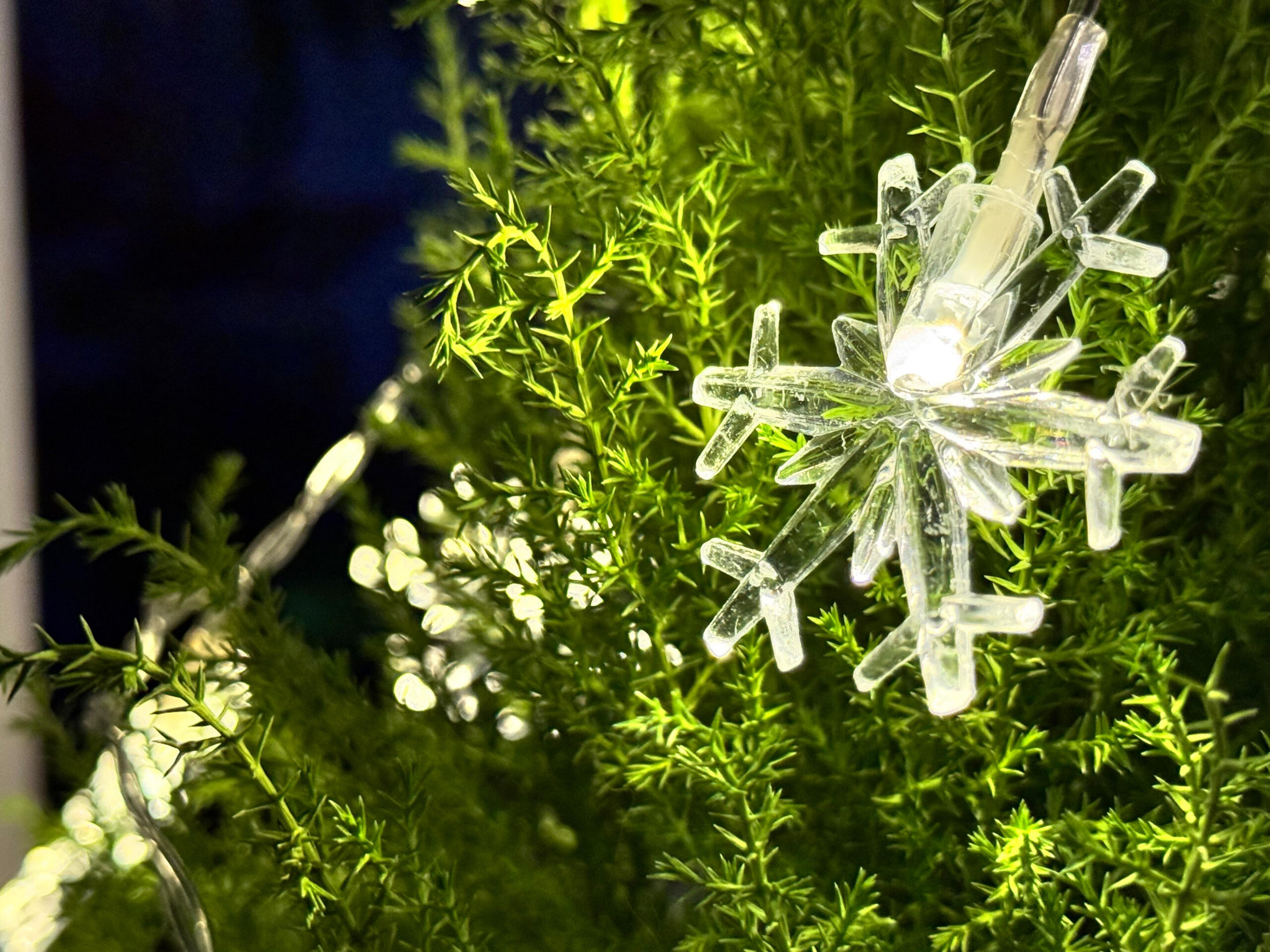 Życzenia składają Wójt Gminy Kłodzko i Przewodniczący Rady Gminy