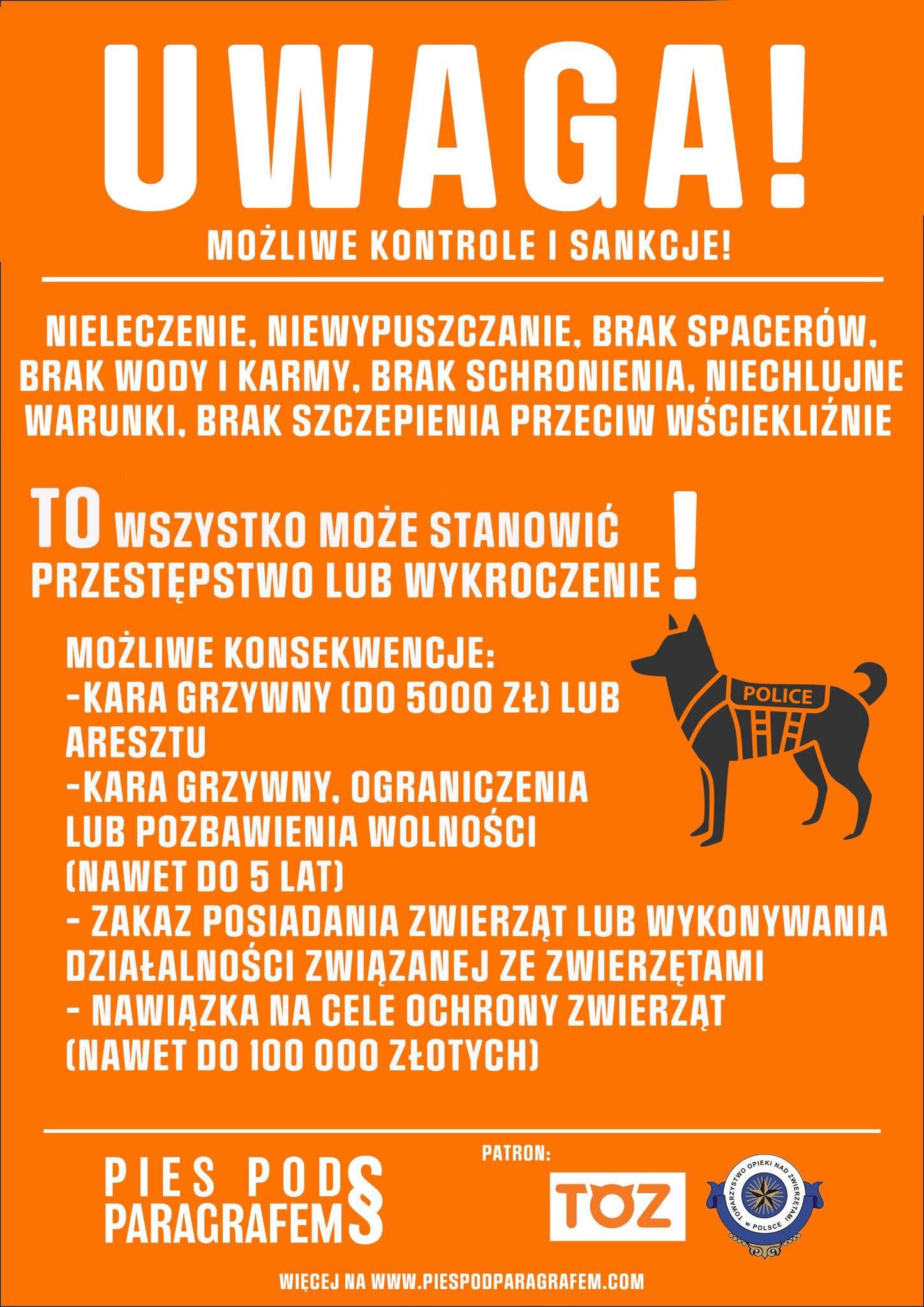 Zima to szczególnie trudny okres dla zwierząt. Właścicielu pamiętaj o swoich obowiązkach!