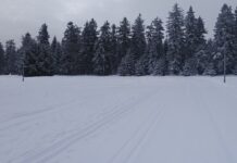 Ratrak gminy Bystrzyca Kłodzka przygotował kolejne kilometry tras biegowych