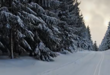 Stacja Narciarstwa Biegowego Spalona rozpoczyna sezon