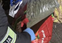 Kłodzko: policyjne uderzenie w narkobiznes. Przejęto duże ilości narkotyków i zatrzymano 4 osoby