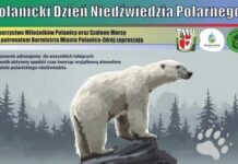 Dzień Niedźwiedzia Polarnego w Polanicy-Zdroju