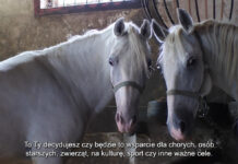 Pamiętaj że możesz pomóc – przekaż 1,5 % podatku