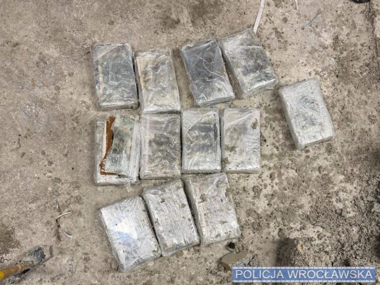 33 pakunki z kokainą. Areszt dla podejrzanego 42-latka