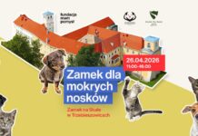 „Zamek dla Mokrych Nosków”. Wyjątkowy piknik charytatywny już 26 kwietnia w Trzebieszowicach