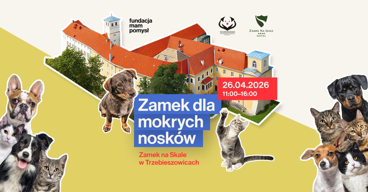„Zamek dla Mokrych Nosków”. Wyjątkowy piknik charytatywny już 26 kwietnia w Trzebieszowicach