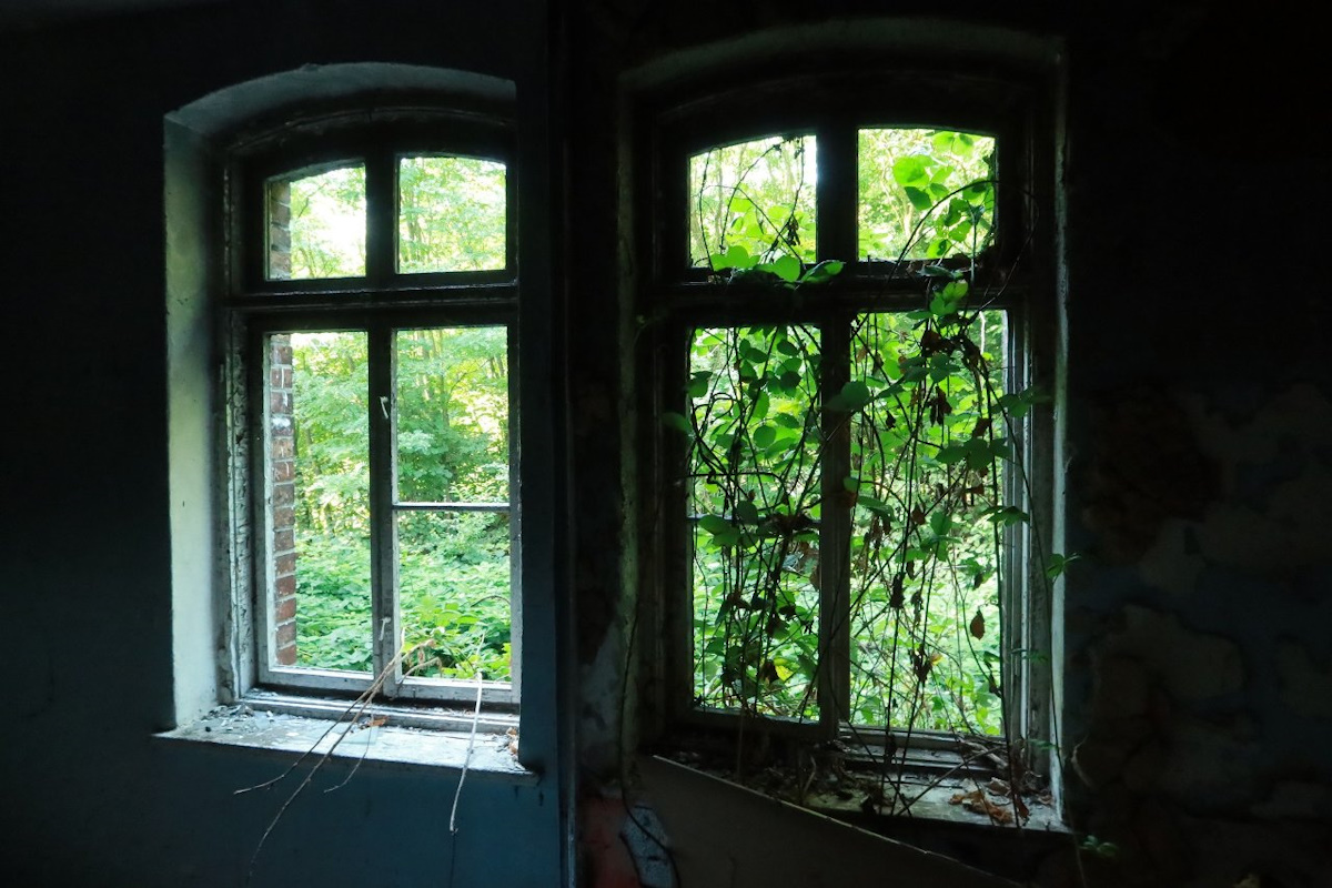 Mroczny Dolny Śląsk – Część 5: miejsca niczym z horrorów i legend. Czy warto je odwiedzić?