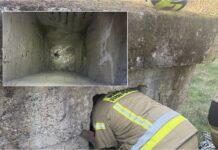 Kot wpadł do nieczynnego kanału wentylacyjnego. Uratowali go strażacy z OSP Nowa Ruda Słupiec