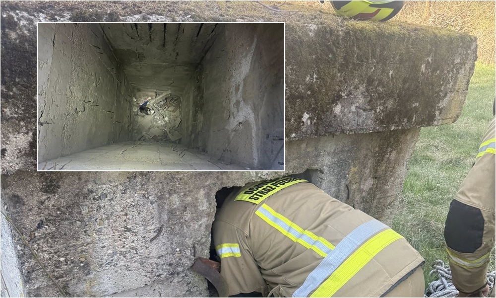 Kot wpadł do nieczynnego kanału wentylacyjnego. Uratowali go strażacy z OSP Nowa Ruda Słupiec