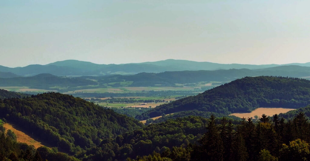 Ludzkie kości znalezione w lesie pod Bystrzycą Kłodzką. To może być zaginiony sprzed 13 lat