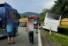 Poważny wypadek na DK-8 koło Barda. Zderzyły się autobus, dwie ciężarówki i osobówka