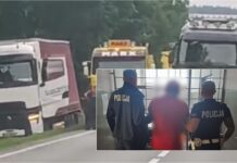 Kierowca ciężarówki, który wpadł do rowu na DK-8 był kompletnie pijany! Miał blisko 3 promile alkoholu