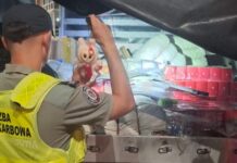 Ponad 22 tys. zabawek zatrzymanych na granicy w Kudowie-Słonem. Towar wart 1,1 mln zł nie trafi do sprzedaży