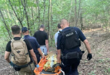 78-latek zaginął podczas grzybobrania. Odnalazł się po ponad 30 godzinach