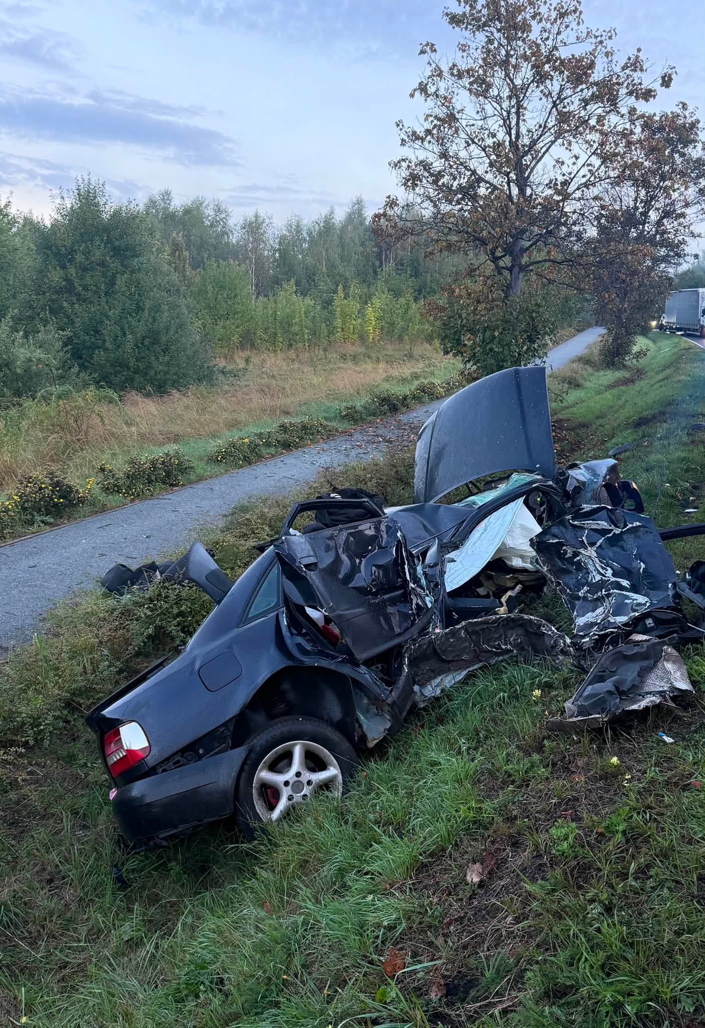 Wypadek w Nowej Rudzie. 19-latek stracił panowanie nad autem, uderzył w drzewo i wpadł do rowu